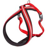 Daytona cross p harnais r�fl�chissante pour chiens avec boucle magn�tique. dans diff�rentes couleurs ...