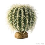 Decoration cactus oursin