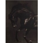 D�coration murale noir et blanc th�me cheval 50 x 40 cm