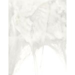 D�coration toile d'araign�e phosphorescente 56 g halloween