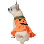 Dguisement de citrouille - atosa - taille l - orange - pour chien - halloween festif