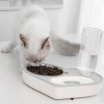 Distributeur automatique d'aliments et d'eau pour animaux domestiques, double bol, ornement pour chiens ...
