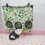 Distributeur de nourriture pour cochon d'inde, sac d'alimentation pour lapin, petit animal, grande capacit ...