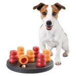 Dog activity mini solitaire, � 20 cm - 32023