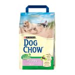 Dog chow chiot agneau - riz 14 kg.