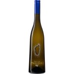 Domaine terra vecchia cuve elgance 2024 corse - vin blanc de corse