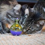 Doogy culbuto distributeur de croquettes pour chat 1 unit�