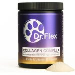 Dr. flex vitamine b complexe pour chiens - collag�ne bovin & marin, articulations & vitalit�, 300g.