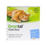 Drontal chat duo.