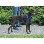 Easy walk harnais s - bleu - pour chien Easy walk harnais s - bleu - pour chien