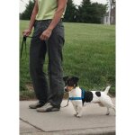 Easy walk harnais deluxe s - bleu oc�an - pour chien