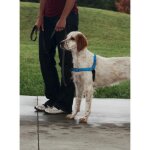 Easy walk harnais deluxe m - bleu oc�an - pour chien