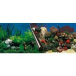 Ebi poster fond d'aquarium - 60 x 30 cm - imprim� algues / coraux