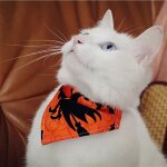 Echarpe bandana pour chien en coton design tendance, echarpe bavoir pour chien, animal de compagnie, ...