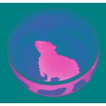 Ecuelle en cramique avec motifs pour cochons d'inde trixie