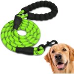 Edipets, laisse chien, laisse de dressage pour chien, rembourrée, poignée souple, corde pour chiots et ... Edipets, laisse chien, laisse de dressage pour chien, rembourrée, poignée souple, corde pour chiots et ...