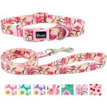 Ensemble collier et laisse pour chien - motif lys mignon - en polyester - laisse de 1, 5 m - pour chiots ...