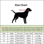 Ensemble de collier et laisse pour chien a motif marguerite, collier en polyester durable et laisse assortie ...