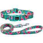 Ensemble collier et laisse pour chien - motif rose mignon - en polyester - laisse assortie de 150 cm ...