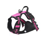 Ensemble collier, laisse et harnais r�fl�chissant anti - traction pour chien, accessoire r�glable en ...