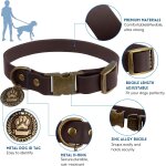 Ensemble collier et laisse impermable pour chien : collier rglable, laisse classique avec porte - sac ...