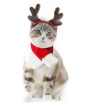 Ensemble de costumes pour animaux de compagnie - petit costume de marin de chat de chien, chapeau de ... Ensemble de costumes pour animaux de compagnie - petit costume de marin de chat de chien, chapeau de ...