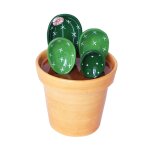 Ensemble de cuillres a mesurer cactus en pot, ensemble unique de cuillres a mesurer cactus mignons ...