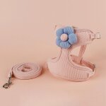 Ensembles de harnais et de laisse pour chat, harnais rglable pour petit chien, harnais pour animaux ...