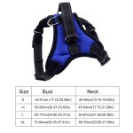 Ensemble de harnais et laisse pour chien, réglable, ne tire pas sur les animaux de compagnie, gilet souple ... Ensemble de harnais et laisse pour chien, réglable, ne tire pas sur les animaux de compagnie, gilet souple ...