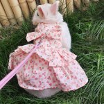 Ensemble de harnais et de laisse pour petits animaux, vêtements doux, jupe florale, sangle de poitrine ... Ensemble de harnais et de laisse pour petits animaux, vêtements doux, jupe florale, sangle de poitrine ...