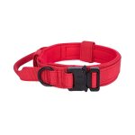 Ensemble de laisse pour chien, collier ajustable et durable, accessoire de dressage pour moyen et grand ...