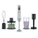 Ensemble mixeur plongeant sans fil 100 w, multifonctions avec de nombreux accessoires, presse pure, ...
