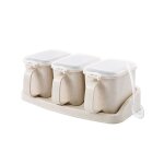 Ensemble de pots d'assaisonnement en plastique, bo�te a epices, fournitures de cuisine m�nag�re, bouteille ...