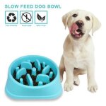 Epetop gamelle pour chiens anti glouton - bleu xuni2613