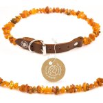 Eryi - collier d' ambre pour chiens et chats collier pour chien en ambre collier pour chat: 65 - 70 cm ... Eryi - collier d' ambre pour chiens et chats collier pour chien en ambre collier pour chat: 65 - 70 cm ...