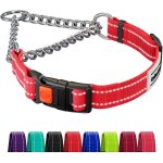 Eryi - collier de chien réfléchissant colliers martingale boucle a dégagement latéral formation de la ... Eryi - collier de chien réfléchissant colliers martingale boucle a dégagement latéral formation de la ...