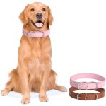 Eryi - collier en cuir pour animaux de compagnie, petit rond, pour chats, pour chiens extra petits, petits, ...