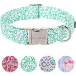 Eryi - collier d't pour chien avec n?ud papillon vert - colliers et laisse pour collier anti - mouches ...