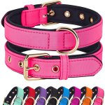 Eryi - collier impermable pour chien avec rembourrage doux, collier solide avec boucle en mtal, collier ...