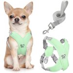 Eryi - harnais pour chiens avec laisse, harnais sécurisé anti - traction en forme de x, veste pour chiens ... Eryi - harnais pour chiens avec laisse, harnais sécurisé anti - traction en forme de x, veste pour chiens ...
