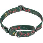 Eryi - pets collier de martingale anti - evasion amélioré pour chiens utilisation quotidienne marche ... Eryi - pets collier de martingale anti - evasion amélioré pour chiens utilisation quotidienne marche ...