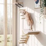 Etag�res murales en bois pour chats avec tapis en eponge, arbre d'escalade et plateformes.