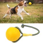 Eva floating dog cat toys floating pet ball puppy balle résistante aux morsures avec corde pull ring ... Eva floating dog cat toys floating pet ball puppy balle résistante aux morsures avec corde pull ring ...