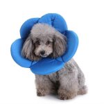 Evago pets cartoon soft recovery collar (pour chiens et chats) fleur mignonne - bleu - l