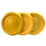 Everlasting easy glider max frisbee 28cm Everlasting easy glider max frisbee 28cm