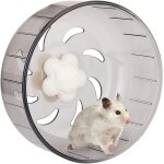 Exercise wheel for hamster, 13 cm silent transparent hamster wheel, toy hamster cage accessory for hamster, ...