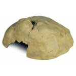 Exo terra reptile cave grotte pour terrariums