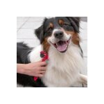 Fackelmann brosse etrille pour chien 2 en 1 rouge / noir 18 x 9, 5 cm