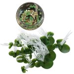 Faucille artificielle flottante r�aliste, 18 pi�ces, aquarium, paysage, 3 tailles, feuille verte avec ...
