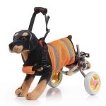 Fauteuil roulant pour chien evago, chariot pour animaux de compagnie pour chien handicapé, voiture de ... Fauteuil roulant pour chien evago, chariot pour animaux de compagnie pour chien handicapé, voiture de ...
